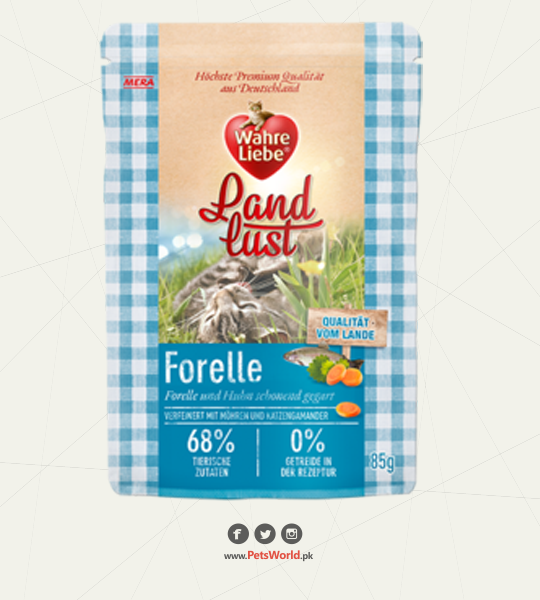 petsworld.pk| Pet Clinic