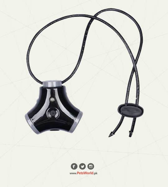 petsworld.pk| Pet Clinic