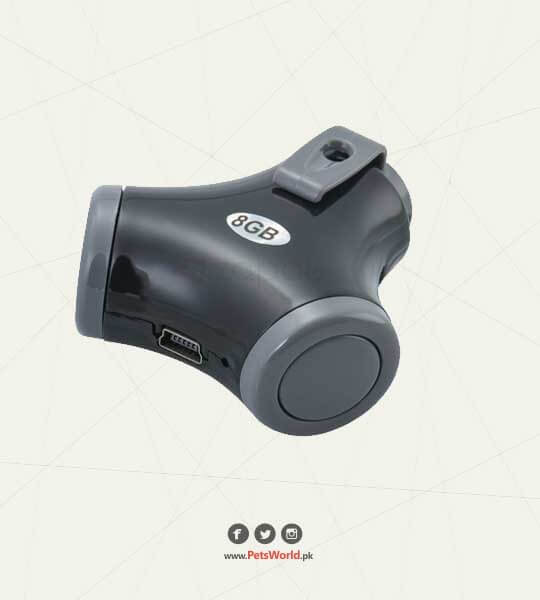 petsworld.pk| Pet Clinic