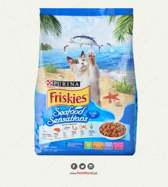 petsworld.pk| Pet Clinic