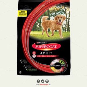 petsworld.pk| Pet Clinic