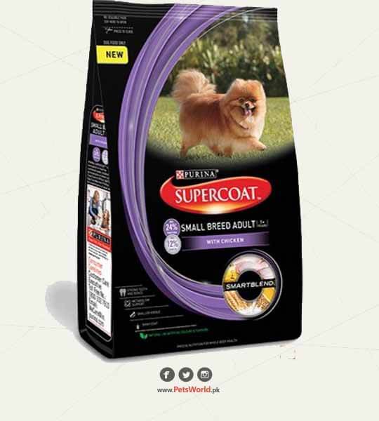 petsworld.pk| Pet Clinic