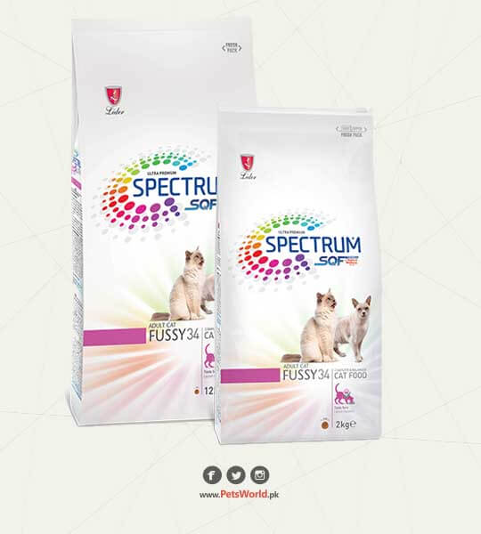 petsworld.pk| Pet Clinic