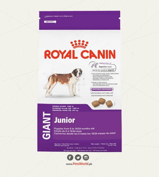 petsworld.pk| Pet Clinic