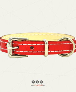 Puppy Collar