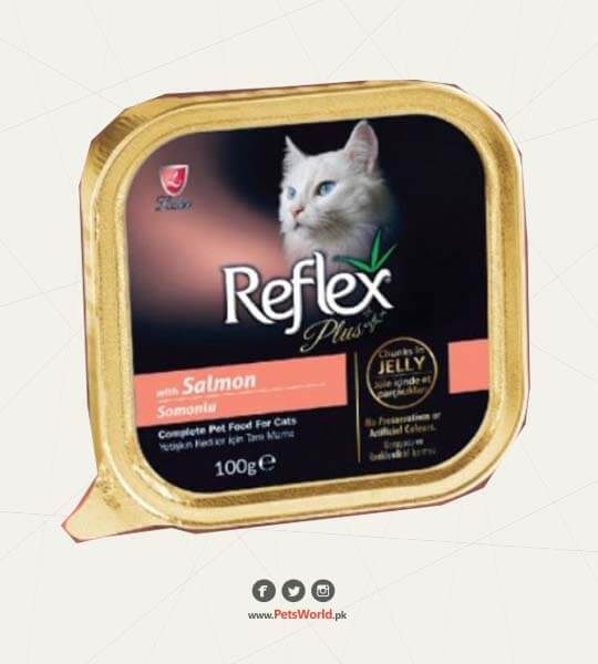 petsworld.pk| Pet Clinic
