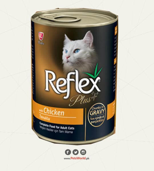 petsworld.pk| Pet Clinic