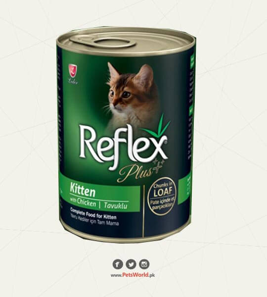 petsworld.pk| Pet Clinic