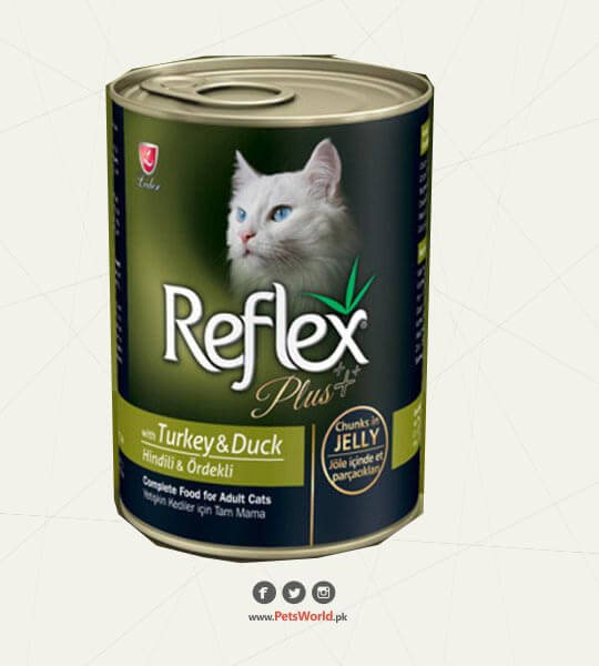 petsworld.pk| Pet Clinic