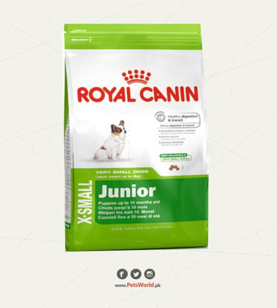 petsworld.pk| Pet Clinic