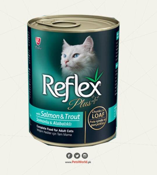 petsworld.pk| Pet Clinic