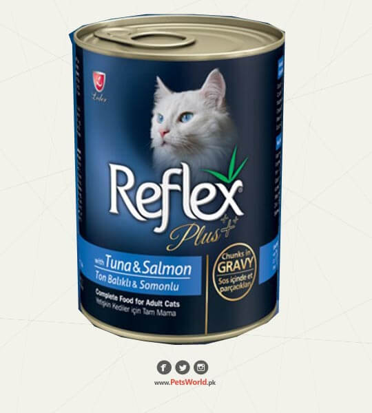 petsworld.pk| Pet Clinic