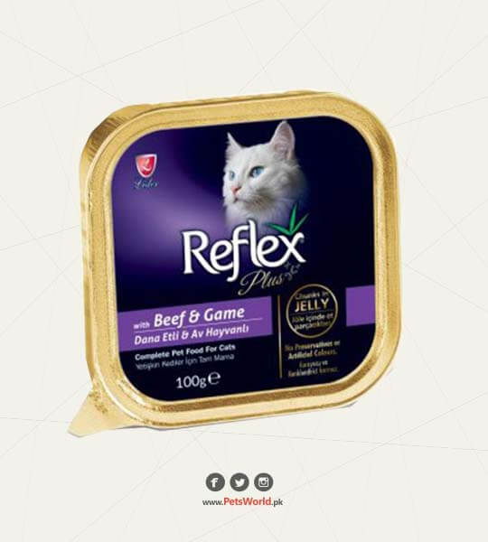 petsworld.pk| Pet Clinic
