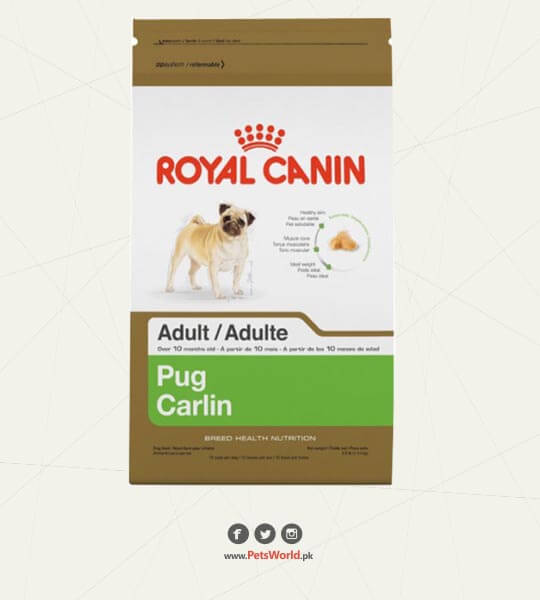 petsworld.pk| Pet Clinic