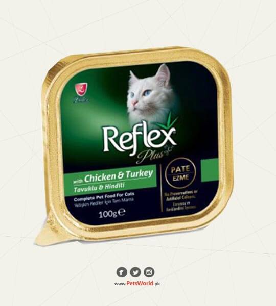petsworld.pk| Pet Clinic