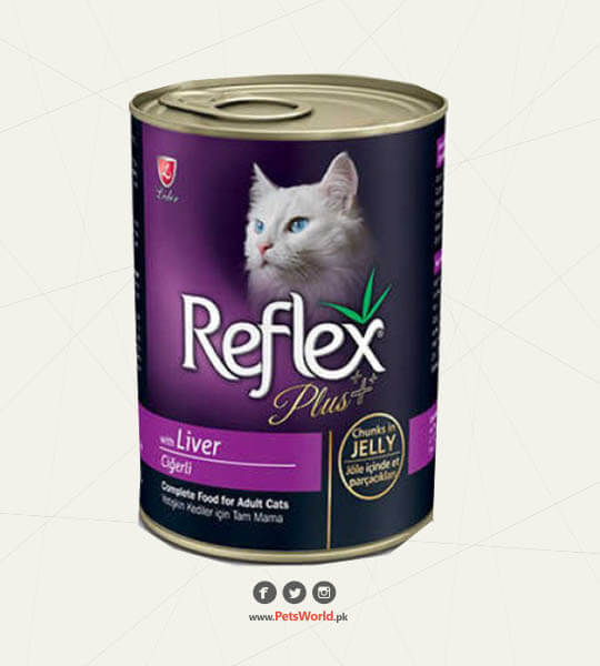 petsworld.pk| Pet Clinic