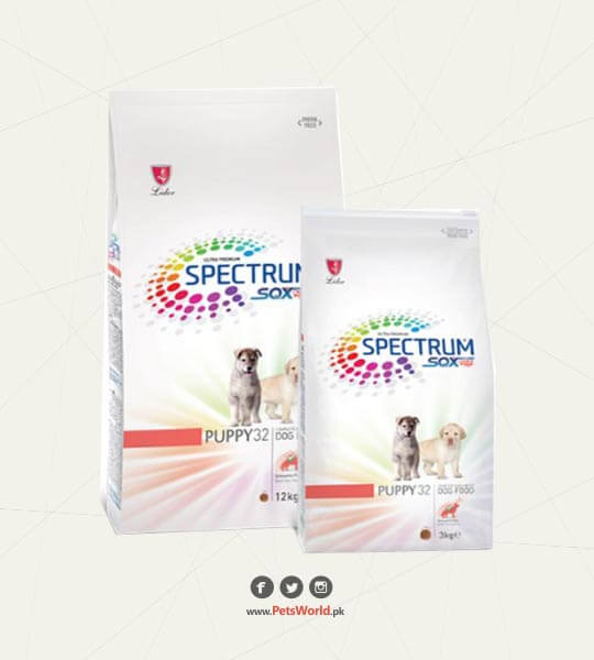 petsworld.pk| Pet Clinic