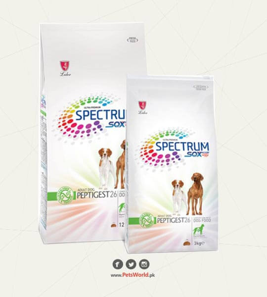 petsworld.pk| Pet Clinic