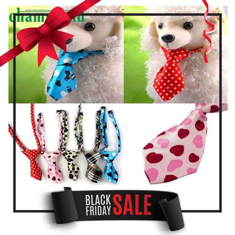 petsworld.pk| Pet Clinic