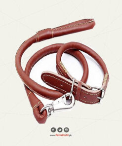 Large size Leather Collar & Leash for Large Bread Dog