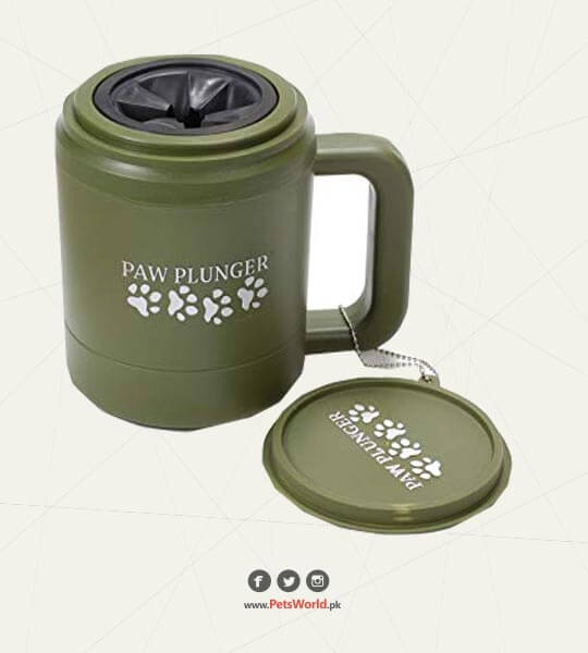 petsworld.pk| Pet Clinic
