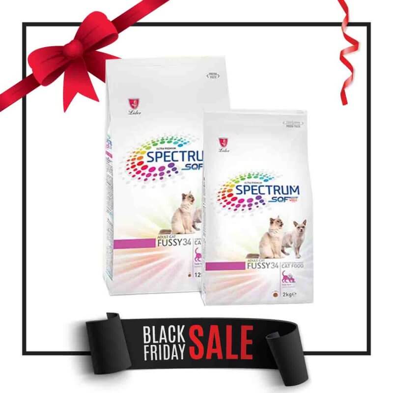 petsworld.pk| Pet Clinic