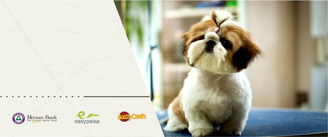 petsworld.pk| Pet Clinic