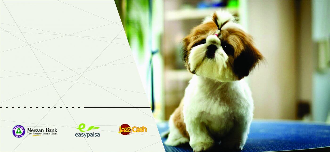petsworld.pk| Pet Clinic
