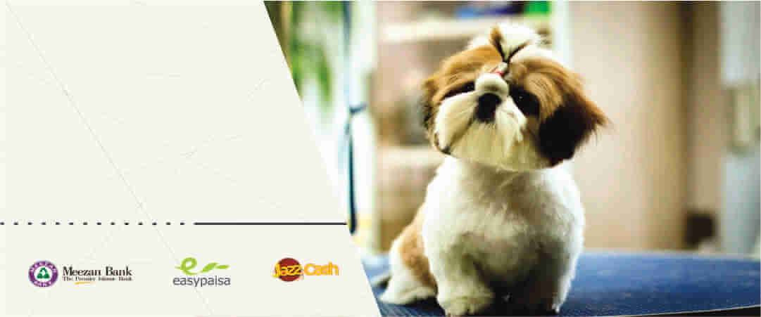 petsworld.pk| Pet Clinic