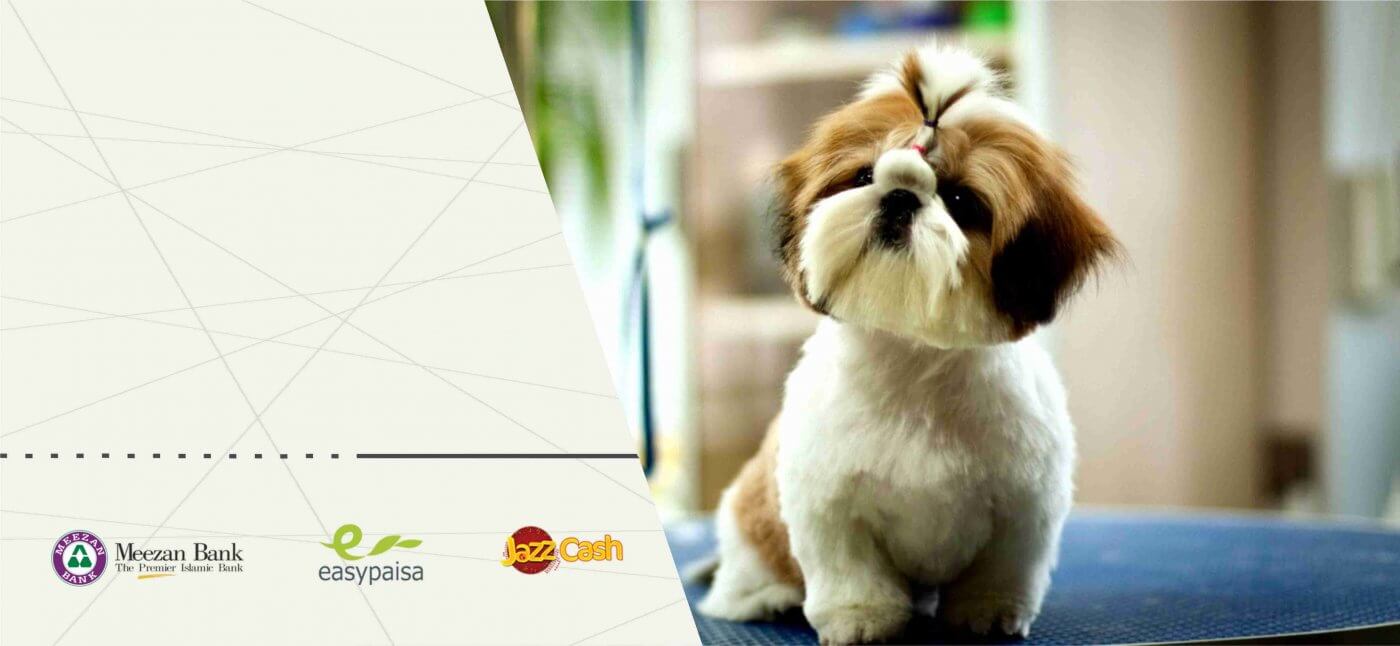 petsworld.pk| Pet Clinic