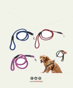 NYLON DOG LEASH