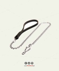 chain leash