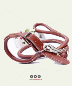 Soft leather collar with leash