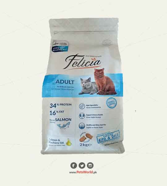 petsworld.pk| Pet Clinic