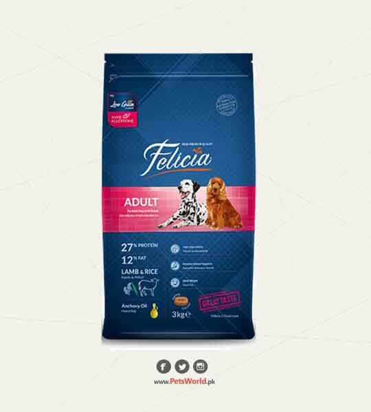 petsworld.pk| Pet Clinic