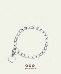 Choke Chain for Dogs