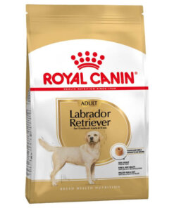 Royal Canin Labrador Adult Dry Dog Food