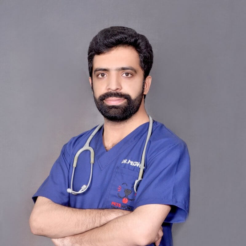 petsworld.pk| Pet Clinic