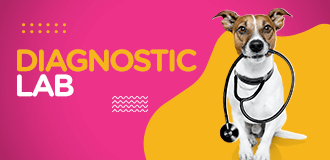 petsworld.pk| Pet Clinic