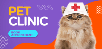 petsworld.pk| Pet Clinic