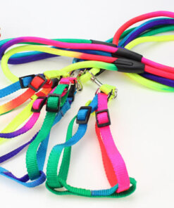 Colorful Harness