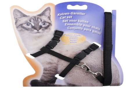 PetsWorld | Pet Hospital & Mart