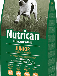 Nutrican-Junior Dog