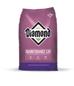 Diamond Maintenance cat Food