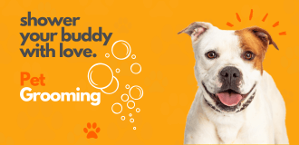 petsworld.pk| Pet Clinic
