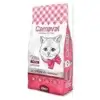 Best cat food in Pakistan | Cat food for healthy digestion | Adult cat food Pakistan