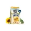 Best cat food in Pakistan | Cat food for healthy digestion | Adult cat food Pakistan